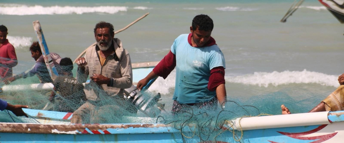 New Report Highlights the Harms Suffered by Yemen’s Fishing Communities and Their Calls for Reparations insight post image